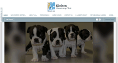 Desktop Screenshot of kivistovetclinic.com
